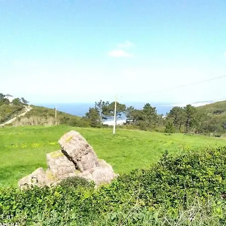 Σπίτι διακοπών Sunflower Sea View With Magnificent Terrace In Serra Da Pescaria, - Portugal Ναζαρέ