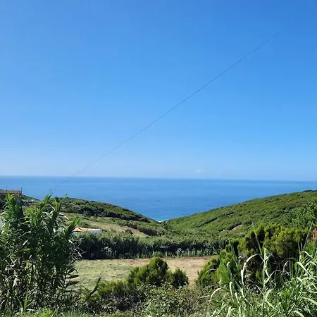 Sunflower Sea View With Magnificent Terrace In Serra Da Pescaria, - Portugal