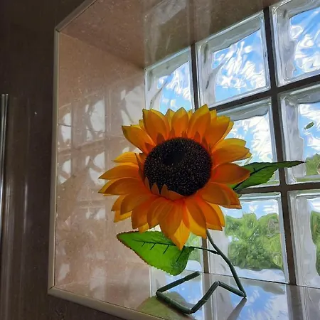 Σπίτι διακοπών Sunflower Sea View With Magnificent Terrace In Serra Da Pescaria, - Portugal Ναζαρέ