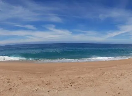 Sunflower Sea View With Magnificent Terrace In Serra Da Pescaria, - Portugal Σπίτι διακοπών Ναζαρέ