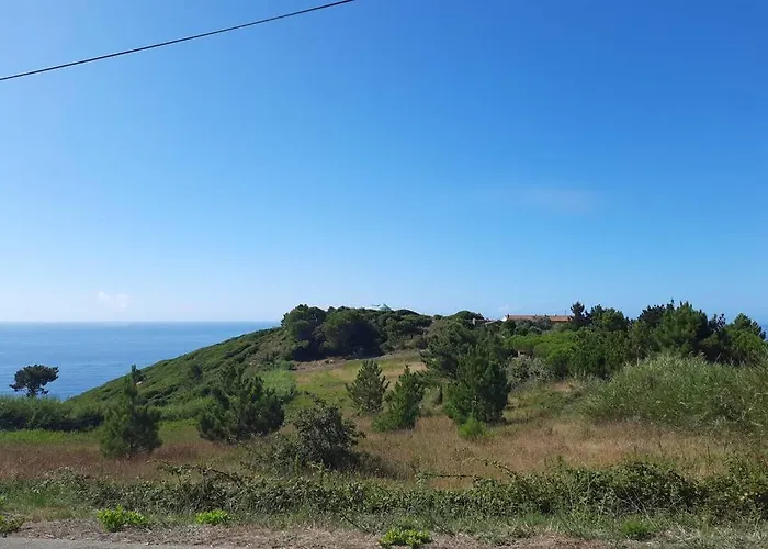 Sunflower Sea View With Magnificent Terrace In Serra Da Pescaria, - Portugal Ferienhaus