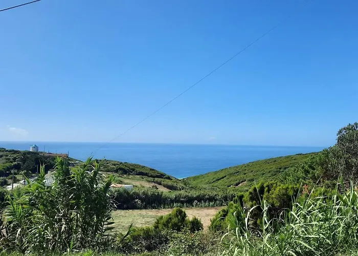 Sunflower Sea View With Magnificent Terrace In Serra Da Pescaria, - Portugal