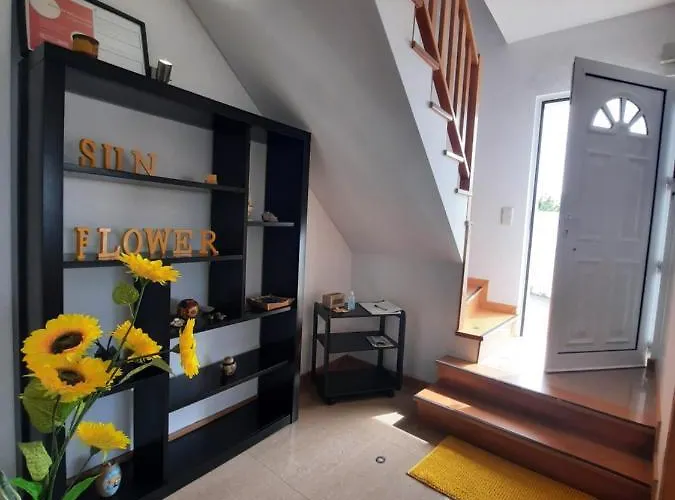 Ferienhaus Sunflower Sea View With Magnificent Terrace In Serra Da Pescaria, - Portugal Nazaré