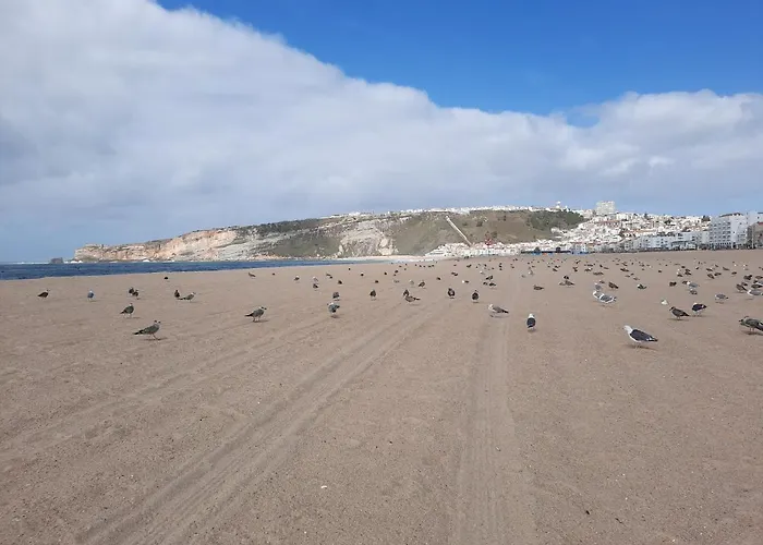 Ferienhaus Sunflower Sea View With Magnificent Terrace In Serra Da Pescaria, - Portugal