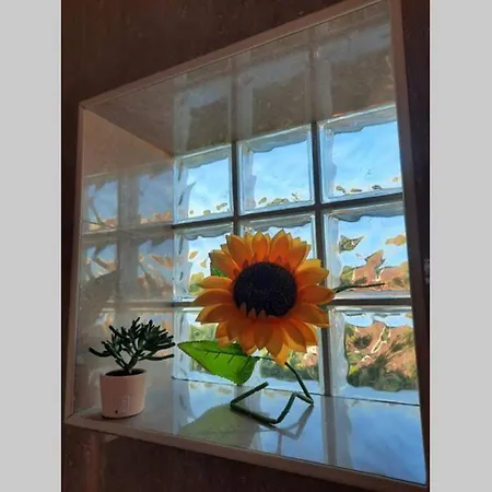 Sunflower Sea View With Magnificent Terrace In Serra Da Pescaria, - Portugal