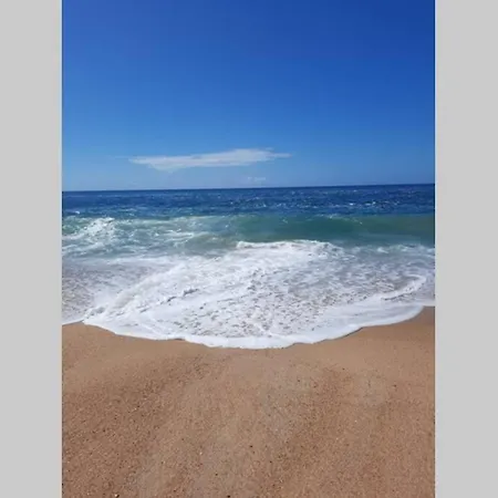 Sunflower Sea View With Magnificent Terrace In Serra Da Pescaria, - Portugal