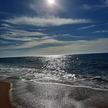 Sunflower Sea View With Magnificent Terrace In Serra Da Pescaria, - Portugal 纳扎雷