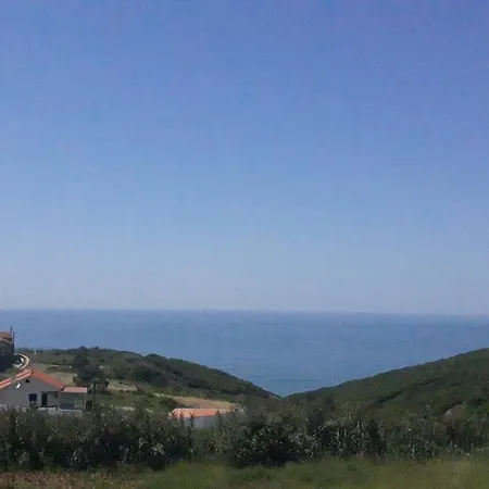 度假居 Sunflower Sea View With Magnificent Terrace In Serra Da Pescaria, - Portugal
