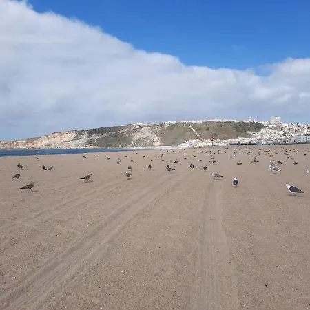 Dom wakacyjny Sunflower Sea View With Magnificent Terrace In Serra Da Pescaria, - Portugal