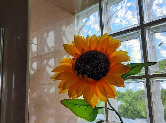 Semesterbostad Sunflower Sea View With Magnificent Terrace In Serra Da Pescaria, - Portugal Nazaré