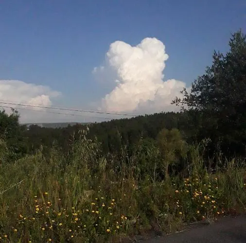 Sunflower Sea View With Magnificent Terrace In Serra Da Pescaria, - Portugal Hébergement de vacances Nazaré
