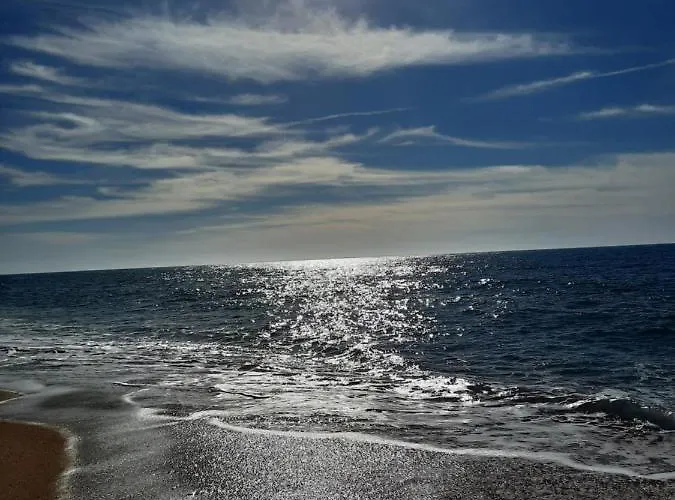 Sunflower Sea View With Magnificent Terrace In Serra Da Pescaria, - Portugal Nazaré